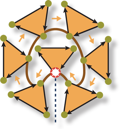 Triangle Grid